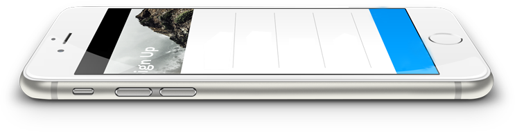 mobile-vertical veterinary internet marketing